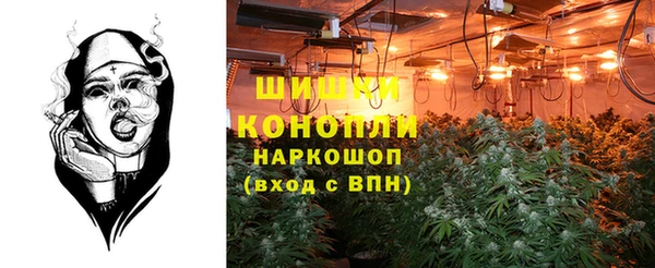 сатива Семикаракорск