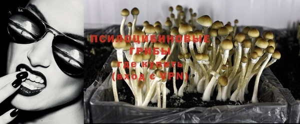 мет Аркадак