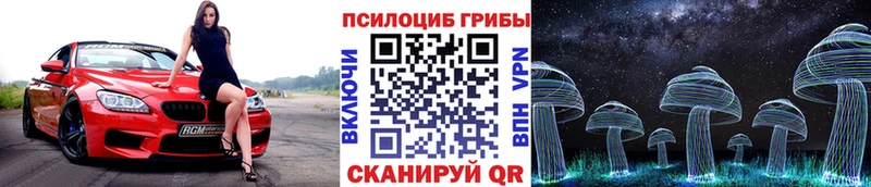 цены   Суворов  Галлюциногенные грибы Psilocybine cubensis 